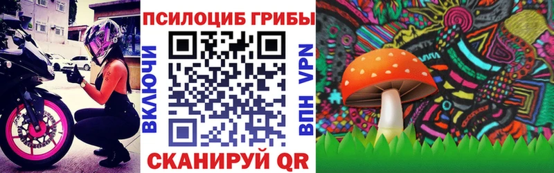 магазин продажи наркотиков Райчихинск Псилоцибиновые грибы мухоморы