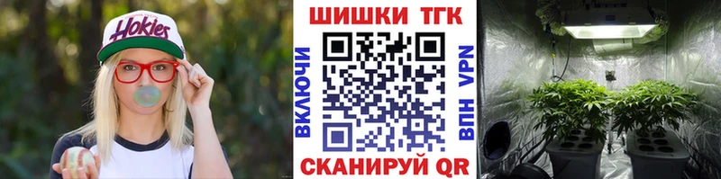 купить   Райчихинск  Бошки марихуана Amnesia 